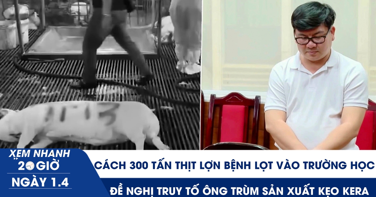 Xem nhanh 20h ngày 1.4: Cách 300 tấn thịt lợn bệnh lọt vào trường học ở Hà Nội | Đề nghị truy tố ông trùm sản xuất kẹo Kera