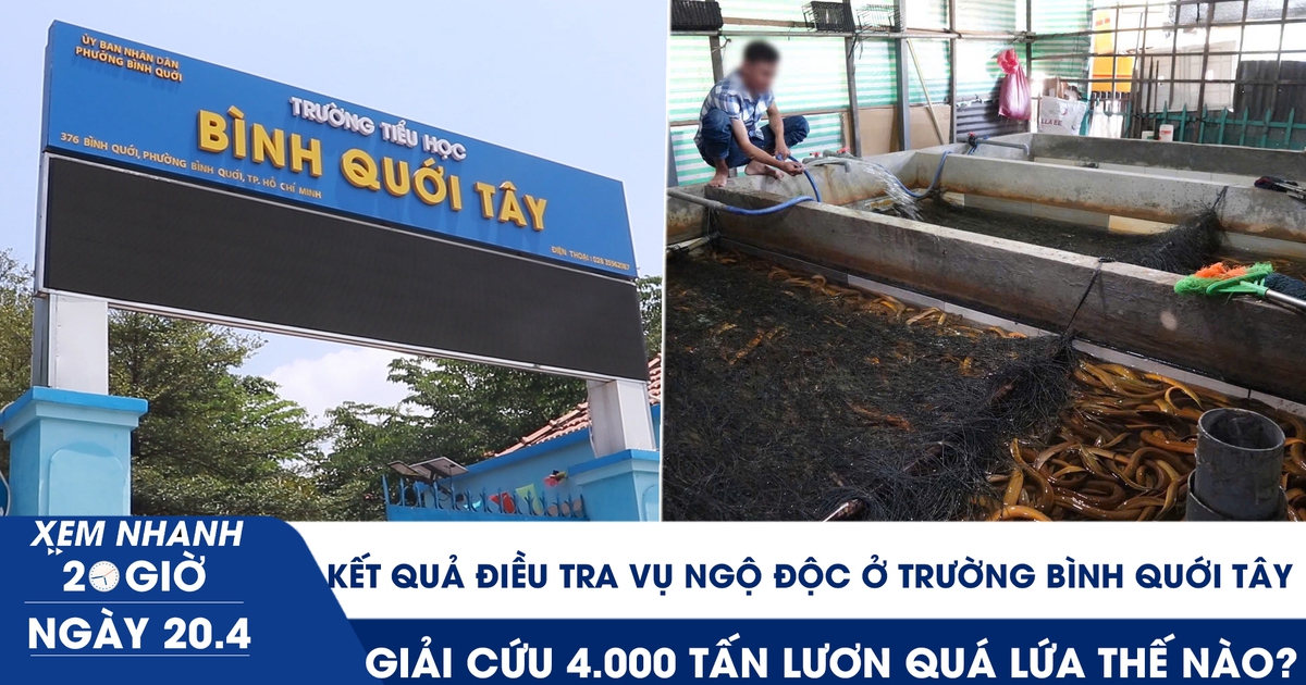 Xem nhanh 20h ngày 20.4: Kết quả điều tra vụ ngộ độc ở Trường Bình Quới Tây | Giải cứu 4.000 tấn lươn quá lứa thế nào?