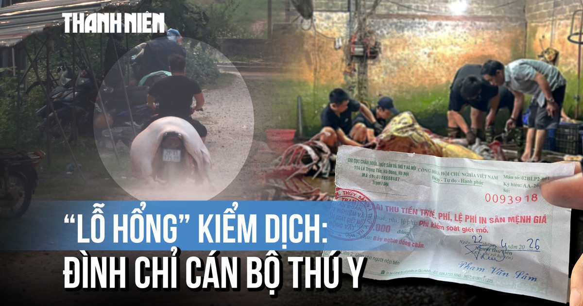 Xử lý vụ 'lỗ hổng kiểm dịch': Hà Nội, Phú Thọ chỉ đạo nóng, tạm đình chỉ cán bộ thú y