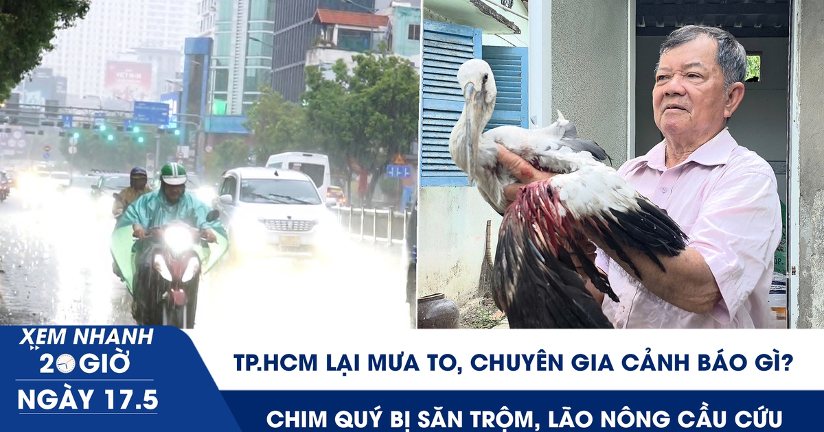Xem nhanh 20h ngày 17.5: TP.HCM lại mưa to, chuyên gia cảnh báo | Chim quý bị săn trộm, lão nông cầu cứu