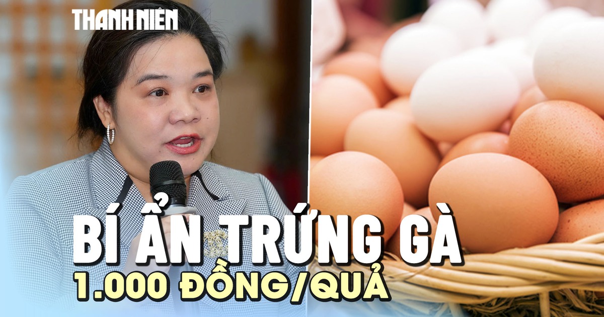 Bí ẩn trứng gà 1.000 đồng/quả, nhà sản xuất thực phẩm sạch bế tắc