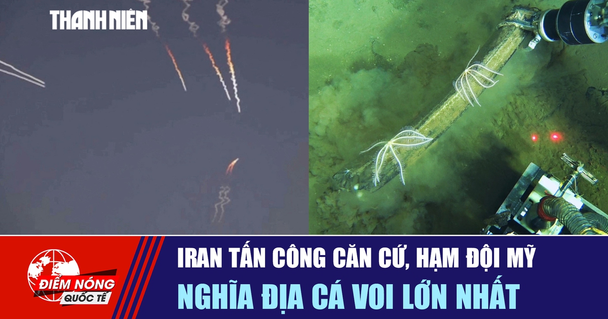 Tiêu điểm quốc tế 12.6: Iran tấn công căn cứ, hạm đội Mỹ | Nghĩa địa cá voi lớn nhất