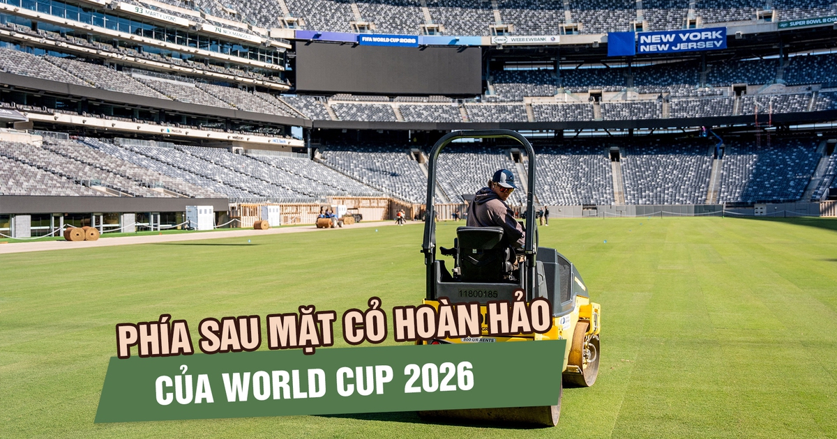 Từ phòng thí nghiệm đến World Cup 2026: Hành trình đặc biệt của những thảm cỏ sân bóng