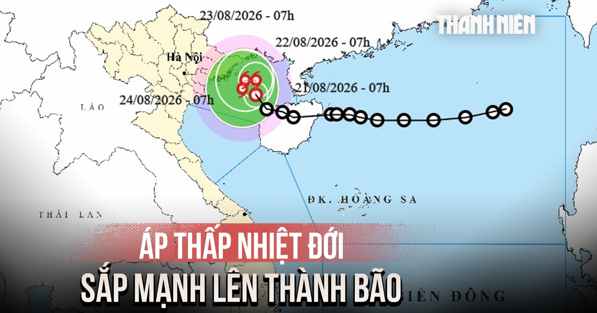 Áp thấp nhiệt đới sắp mạnh lên thành bão, cảnh báo gió giật cấp 10