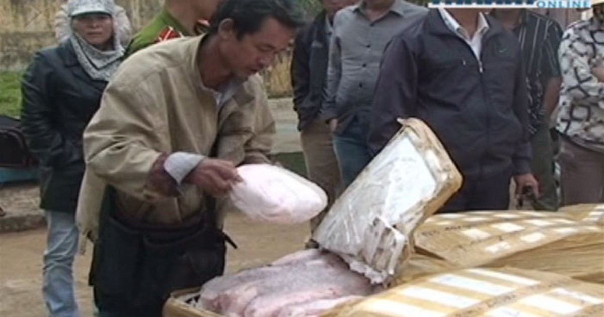 Phát hiện 1,6 tấn thịt lợn thối trong cây xăng