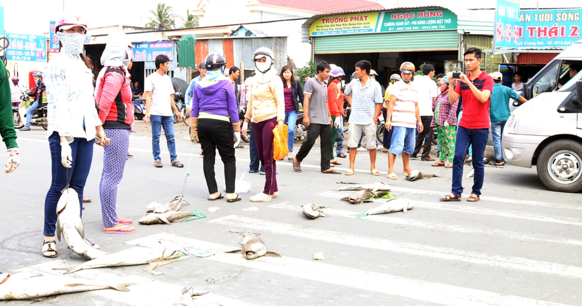Người dân mang xác cá chết đổ ra quốc lộ, đường đi Vũng Tàu tắc nghẽn