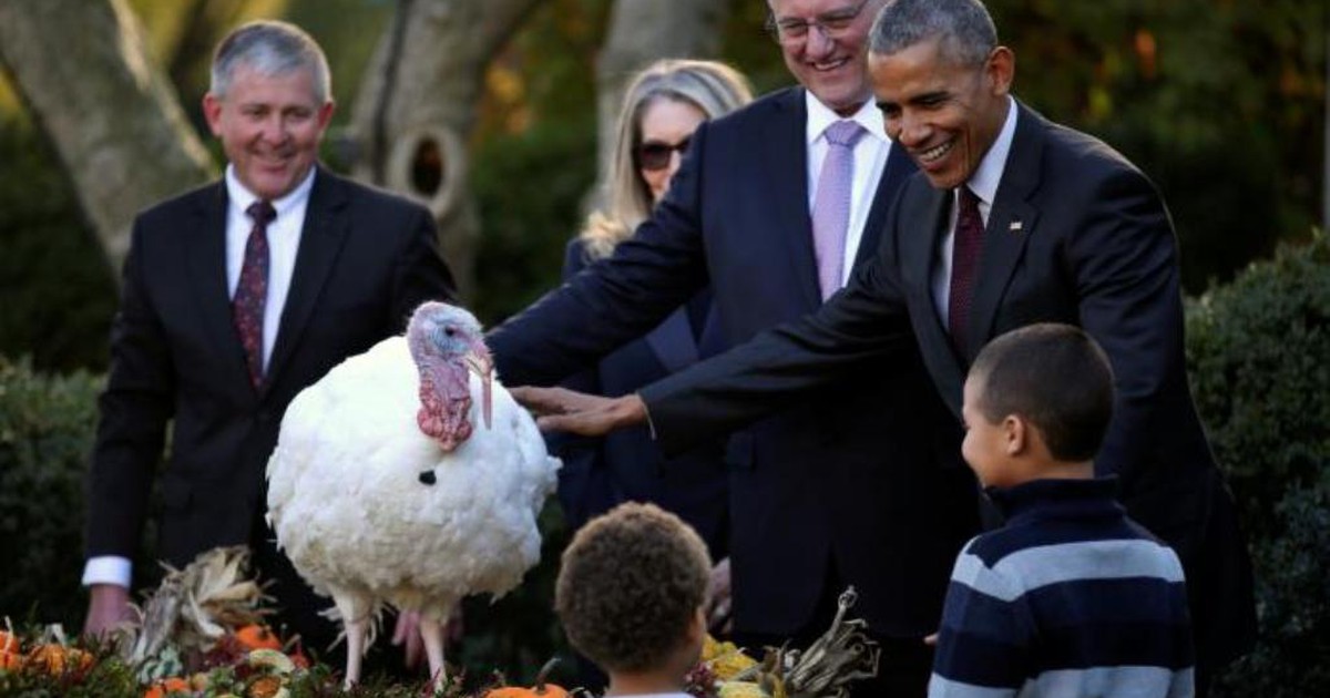 Tổng thống Obama ân xá con gà tây cuối cùng