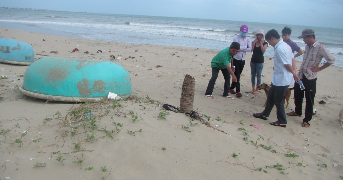 Khoảnh khắc ám ảnh khi hải cẩu bị đánh chết khiến người dân Đồi Dương nhớ mãi