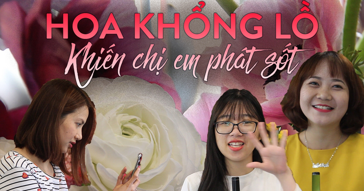 Hoa to bằng mặt người, giá 1 triệu/ cành khiến chị em phát sốt