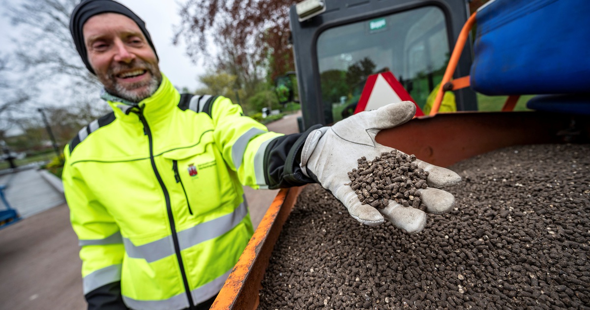 Rải phân gà để tránh tập trung đông người phòng dịch Covid-19