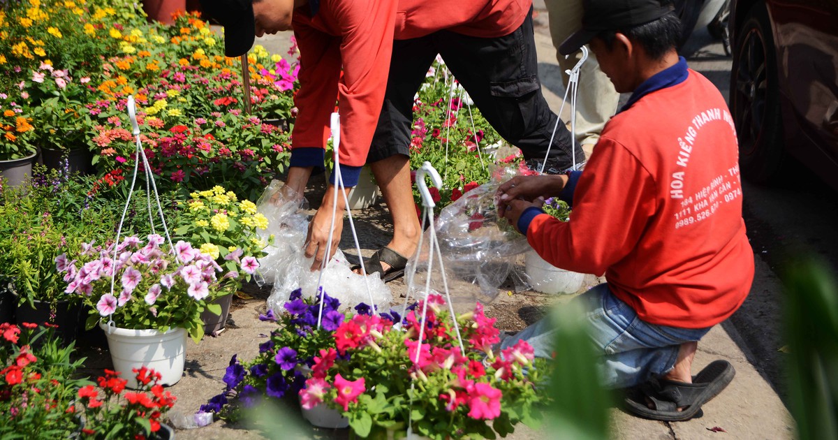 Hoa Tết rực rỡ trên các ngả đường, người Sài Gòn thấy Xuân cận kề