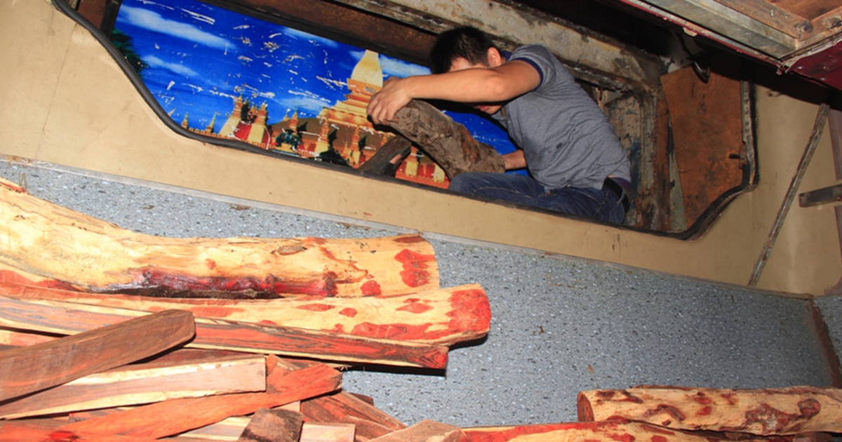 Chủ hàng thiết kế hầm bí mật cất giấu, vận chuyển gỗ lậu