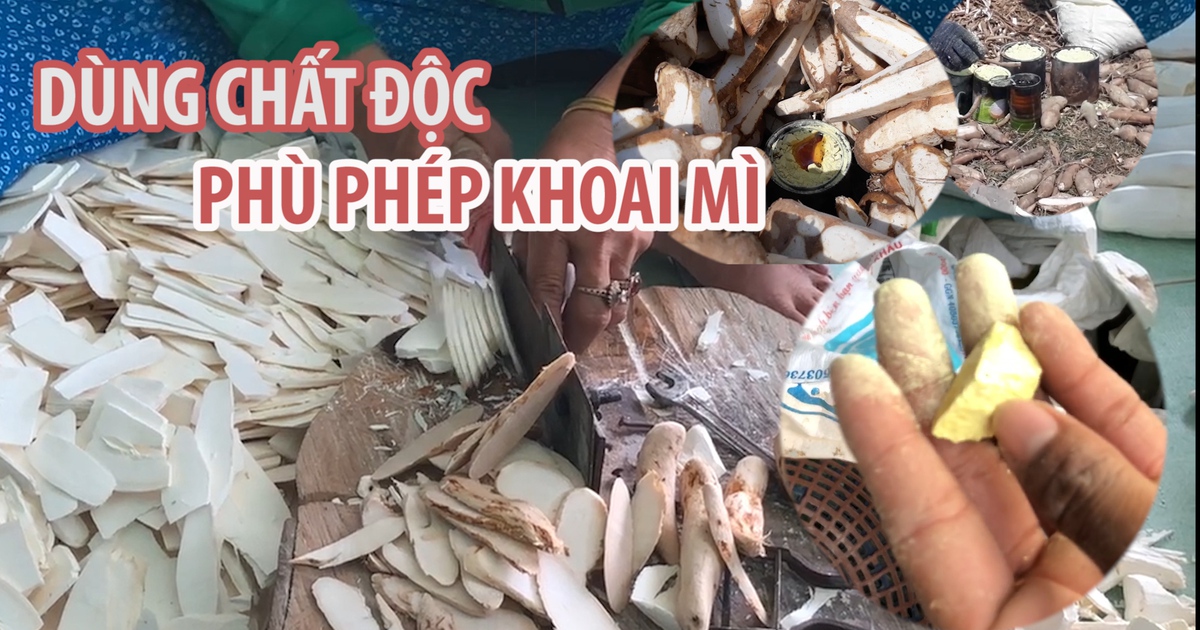 Rùng rợn quy trình dùng chất độc “lột xác” khoai mì thành đông dược