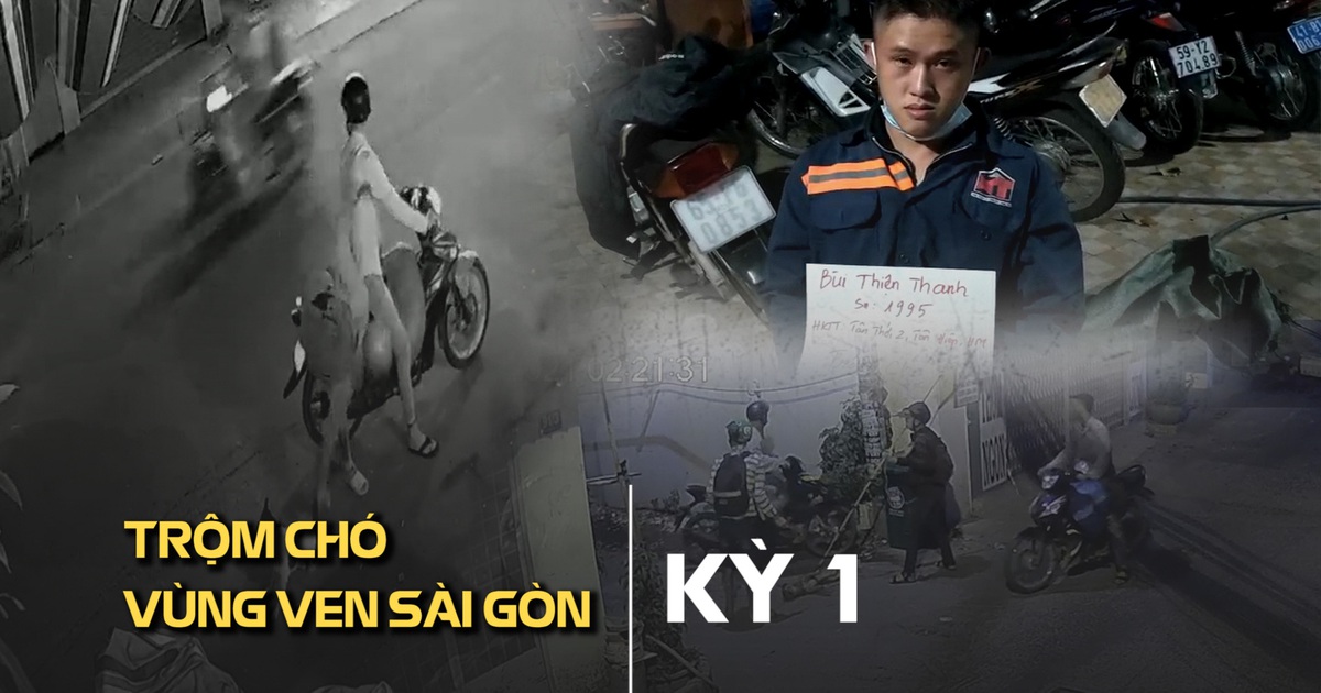 Táo tợn trộm chó ở vùng ven Sài Gòn – Kỳ 1: Hở ra là… mất chó