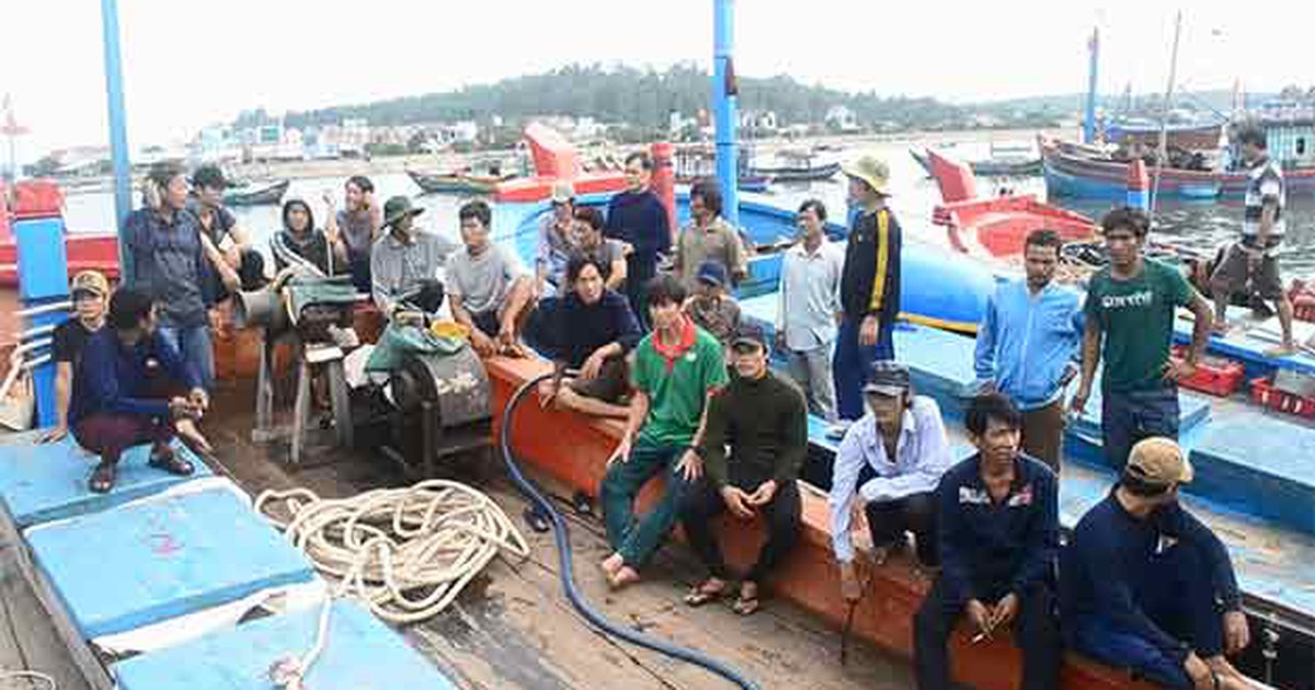 Làm rõ việc tàu cá Quảng Ngãi bị tàu TQ tấn công ở Hoàng Sa