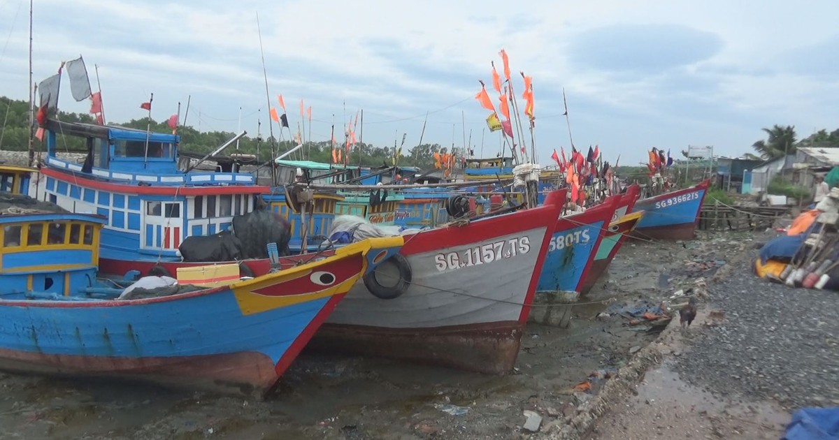 Người dân TP.HCM neo tàu, di dời tránh bão Tembin