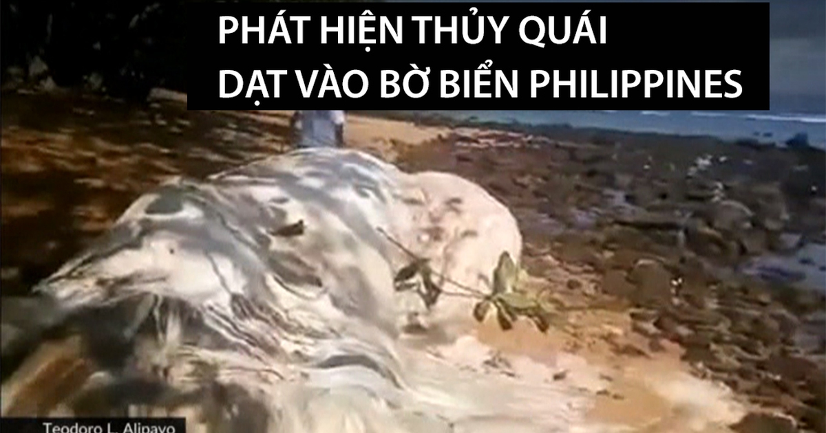 Philippines xôn xao vì "thủy quái" dạt vào bờ biển