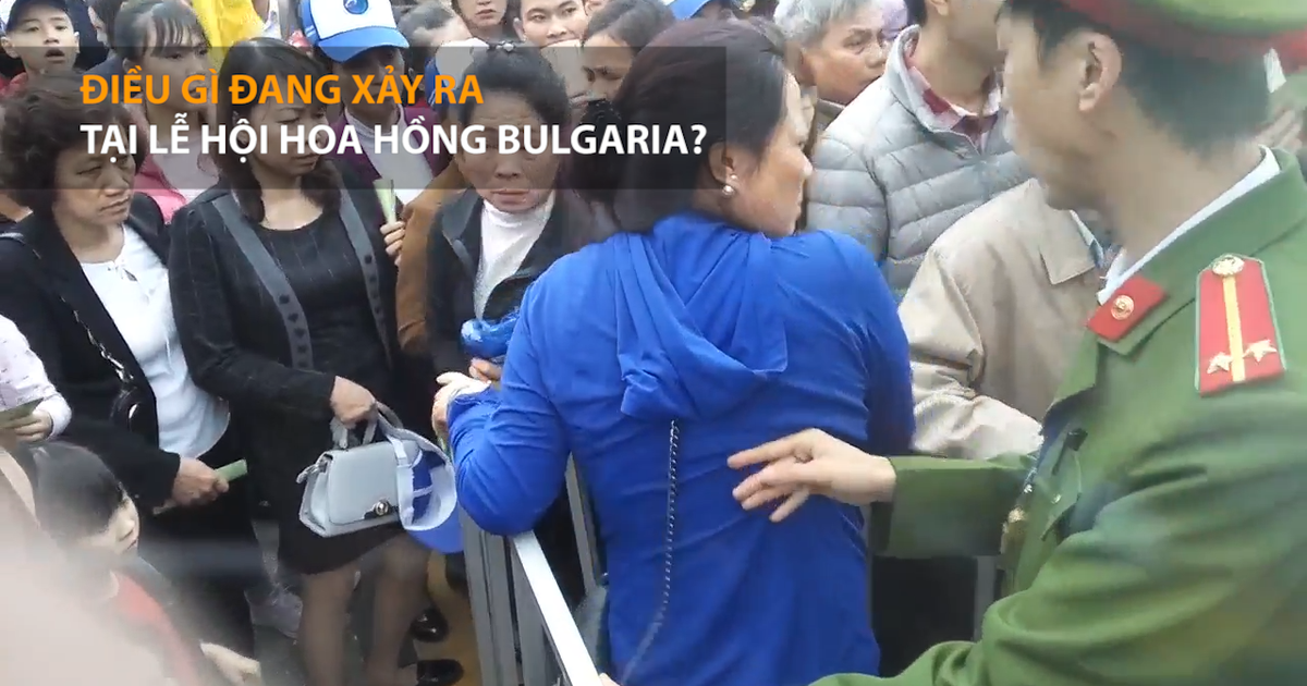 Lễ hội hoa hồng Bulgaria: “Cò” cướp vé ngoài cổng, dân bẻ hoa bên trong