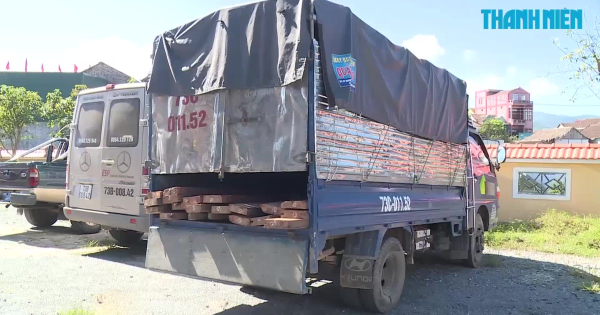 Chặn bắt xe chở gỗ, kiểm lâm bị đánh vỡ đầu nhập viện