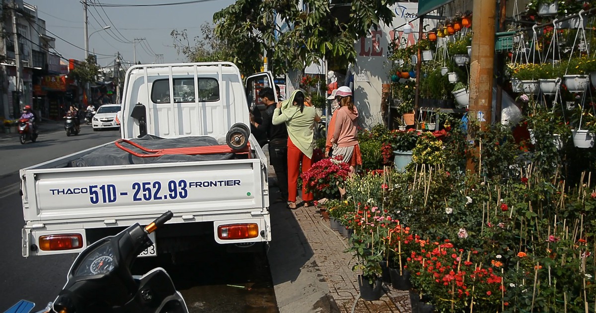 Rộn ràng ‘mùa vụ’ hoa Tết rực rỡ trên các con đường TP.HCM