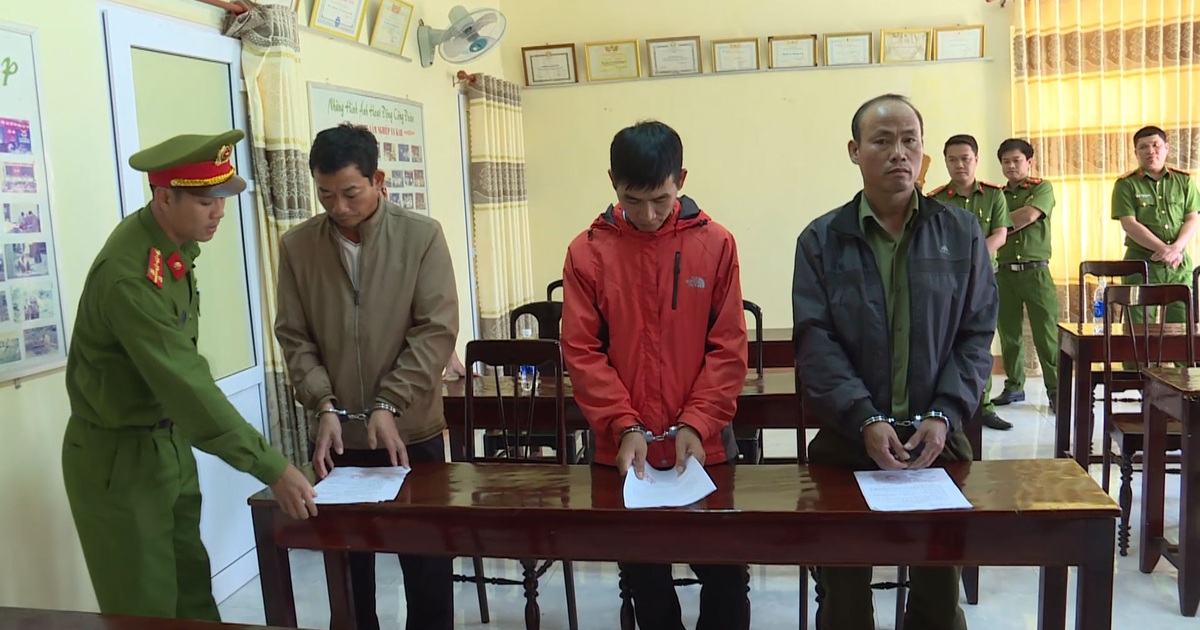 Bắt 4 cán bộ của một công ty lâm nghiệp để mất rừng