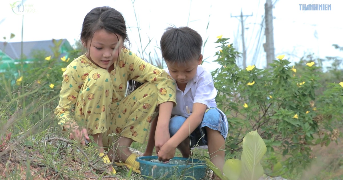 Nếu được ước: Trần Thị Cẩm Ly - "Uống nước cơm thay sữa, vì bà ngoại nói: trời sinh trời nuôi"
