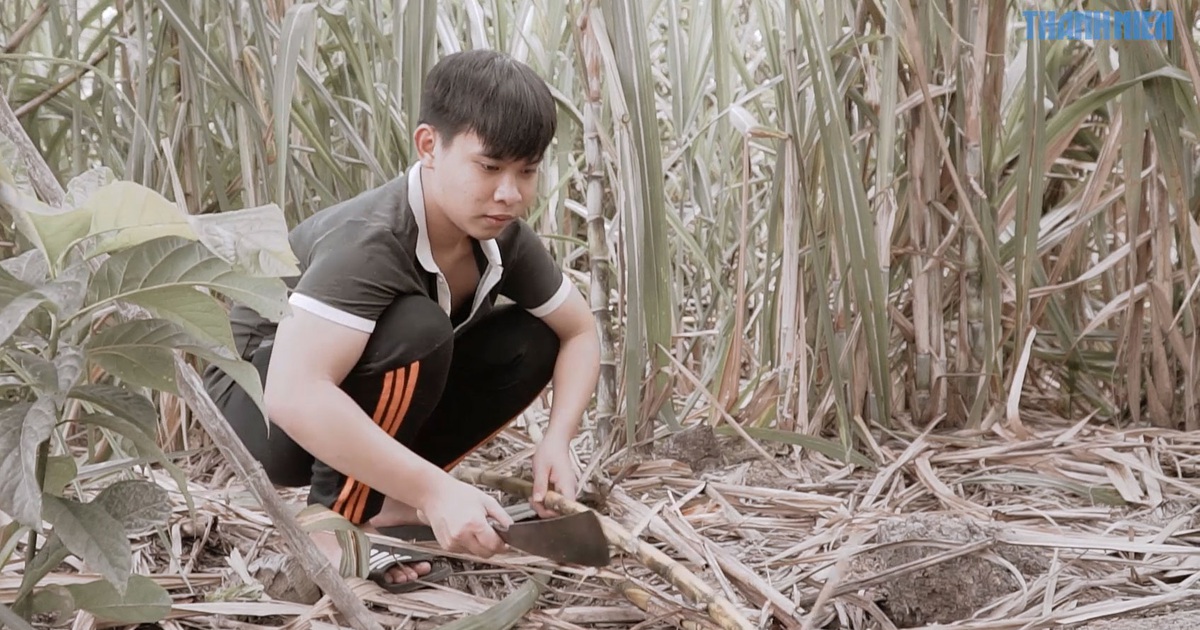 Nếu được ước: Cha mất, cậu học sinh Đỗ Chí Nam là trụ cột gia đình