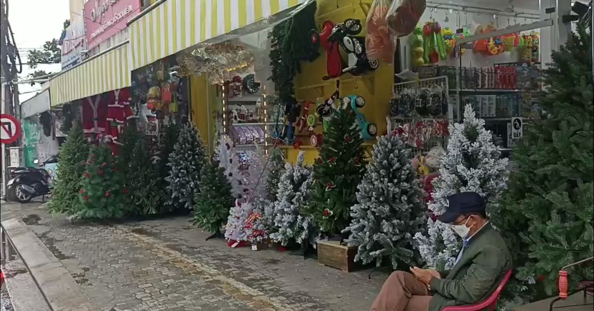 Các cửa hàng bán đồ trang trí Giáng sinh thêm một năm ế ẩm vì Covid-19