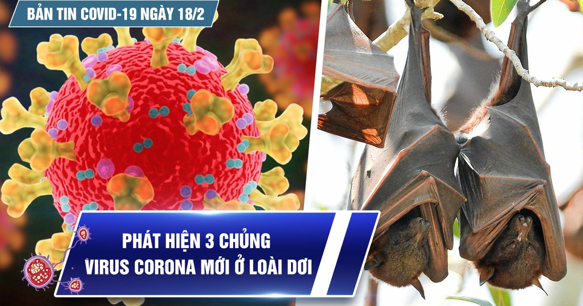 Bản tin Covid-19 ngày 18.2: Cả nước 42.439 ca | Phát hiện 3 chủng virus corona mới ở dơi