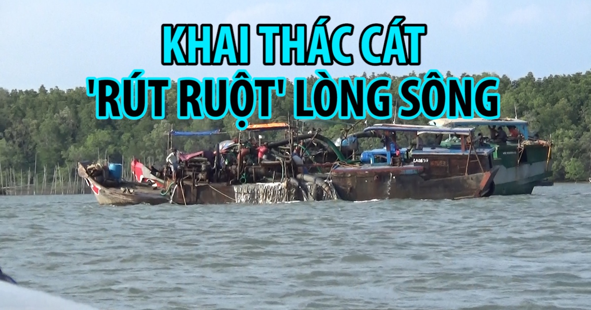 Cận cảnh hàng chục con tàu 'rút ruột' lòng sông vô tội vạ ở Rừng Sác