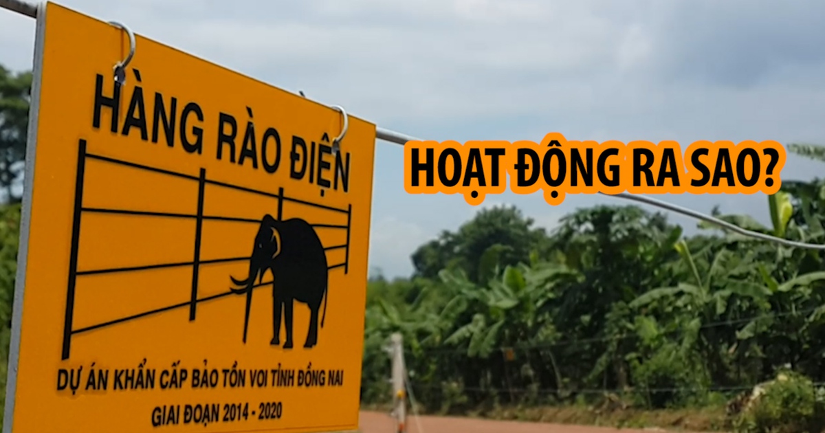 Cảnh báo nạn trộm cắp tại hàng rào bảo vệ voi ở Đồng Nai