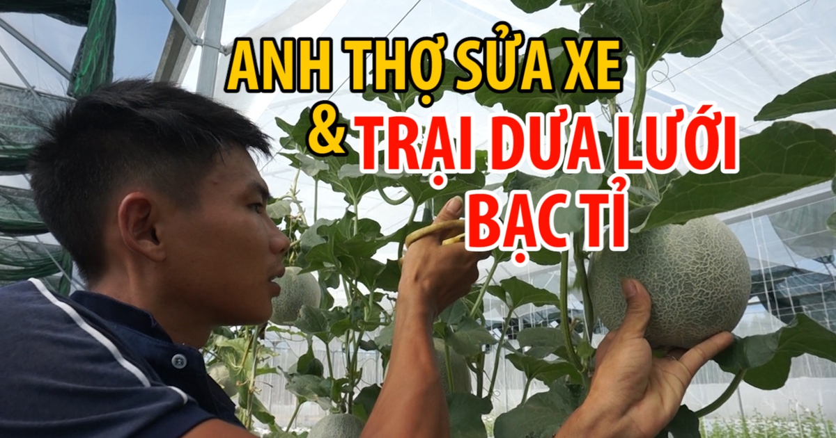 Anh thợ sửa xe học Google thành chủ trang trại dưa lưới bạc tỉ