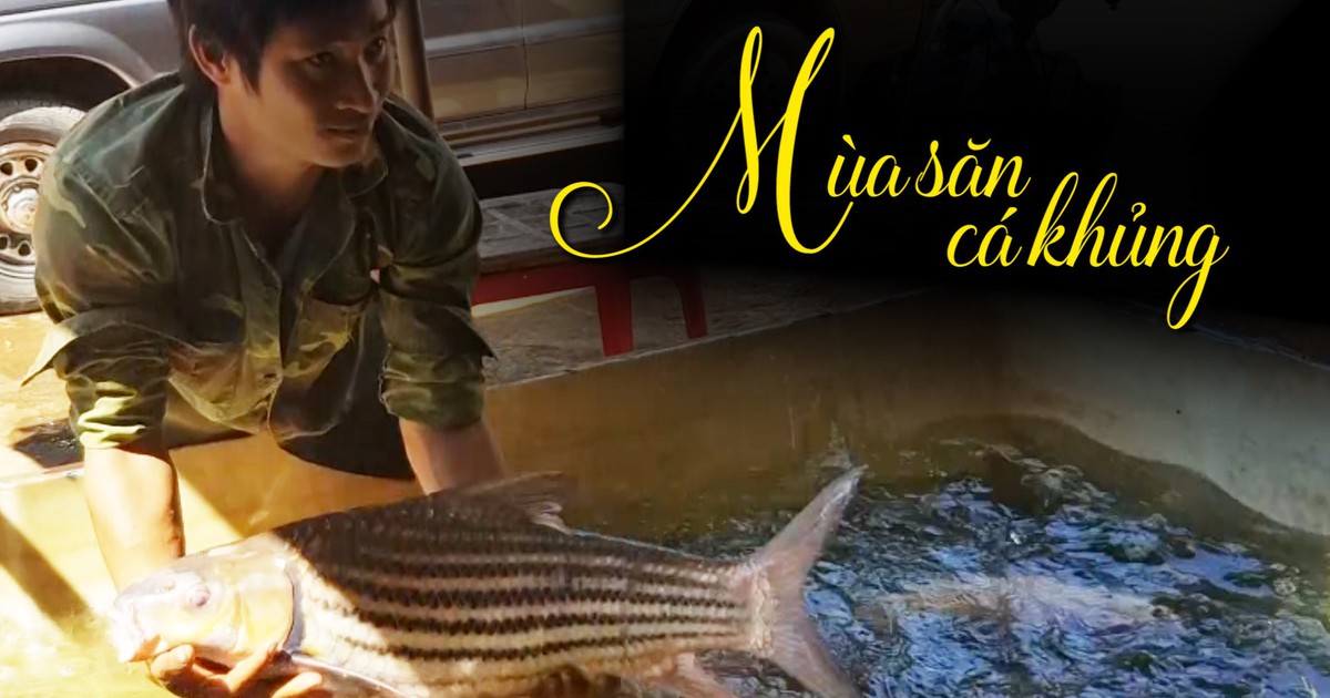 Theo thợ câu đi săn cá “khủng” trên sông Sê San