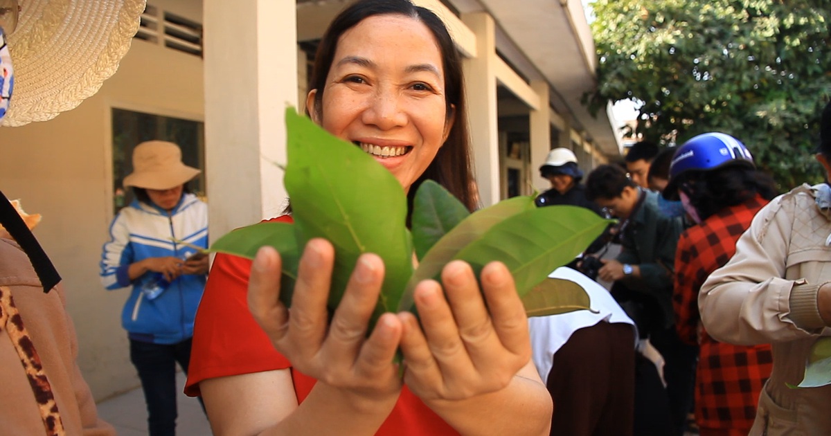 Phiên chợ kỳ lạ ở Tây Ninh: Lấy lá thay tiền