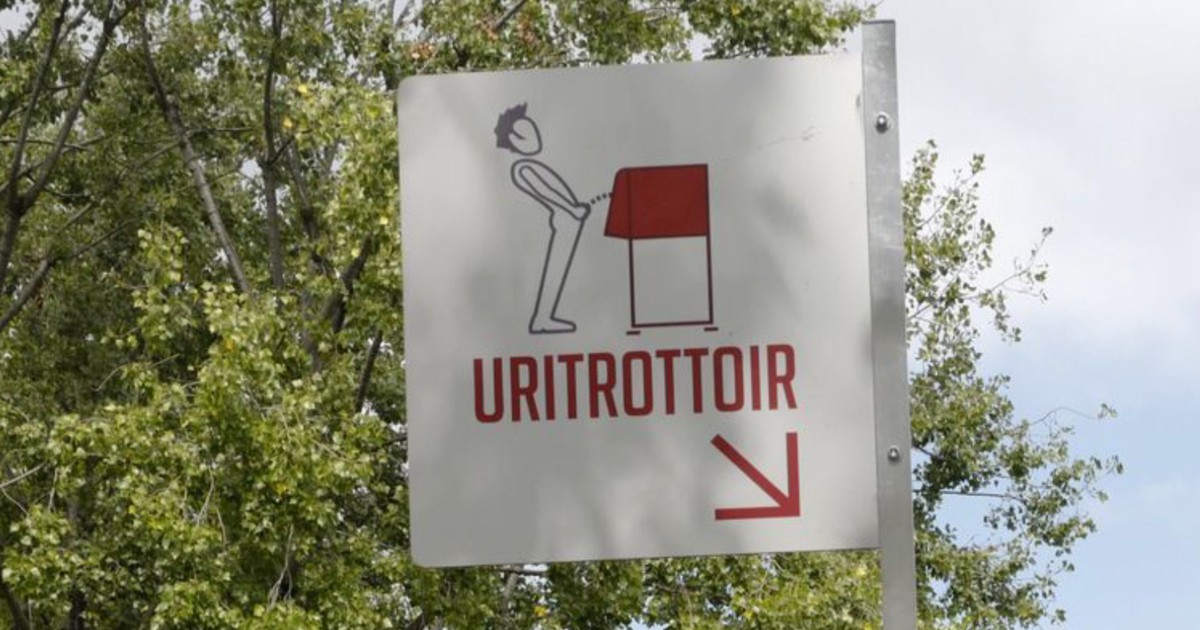 Xốn mắt với giải pháp chống bệnh 'tiểu đường' ở Paris