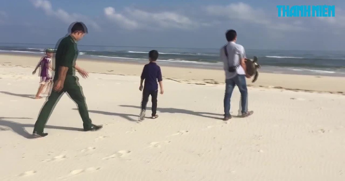 Trẻ em thả rùa biển trong Sách Đỏ về với đại dương