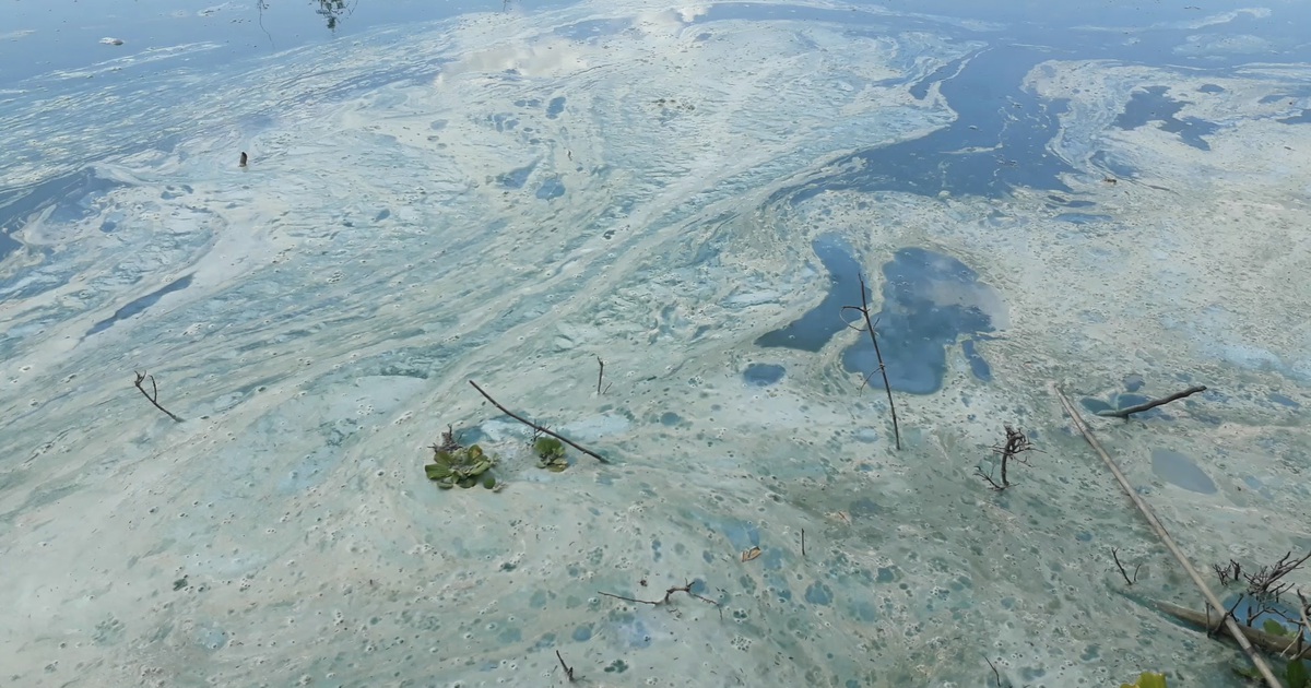 Hồ thủy điện Yaly chuyển màu, bốc mùi hôi thối kinh hoàng