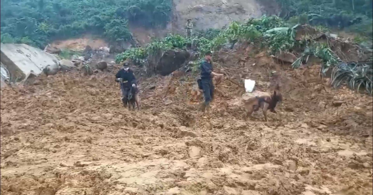 Đưa chó nghiệp vụ lên vùng sạt lở núi tìm kiếm kỹ sư mất tích