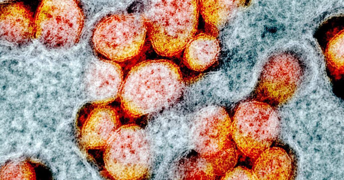Biến thể Covid-19 mới có tới 46 đột biến, nhiều hơn Omicron