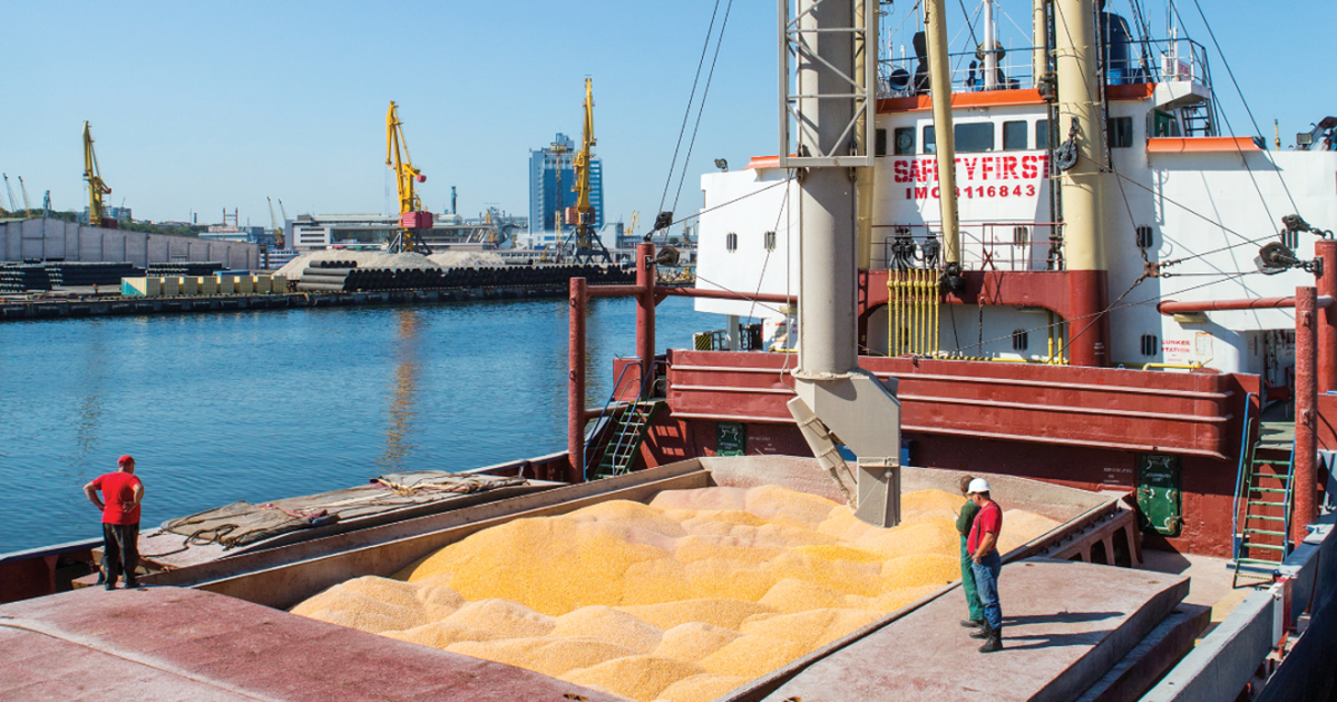 Thổ Nhĩ Kỳ nói Nga, Ukraine đạt thỏa thuận xuất khẩu ngũ cốc