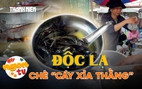Chè 'Cáy xỉa thằng': Món ngon người Hoa mỗi tháng chỉ bán 2 ngày