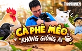 Cà phê mèo 'không giống ai' ở TP.HCM: Những hành trình hồi sinh kỳ diệu