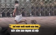 Khỉ rượt đuổi người đàn ông ở TP.HCM gây xôn xao mạng xã hội