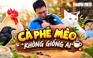 Cà phê mèo 'không giống ai' ở TP.HCM: Những hành trình hồi sinh kỳ diệu