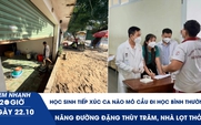 Xem nhanh 20h ngày 22.10: Học sinh tiếp xúc ca não mô cầu đi học bình thường | Nâng đường Đặng Thùy Trâm, nhà lọt thỏm