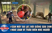 Toàn cảnh 17h: Cứu nữ du khách đi săn mây, rơi giếng sâu 20m | Lý do trâu điên húc người, xông vào rạp cưới
