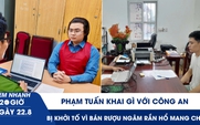 Xem nhanh 20h ngày 22.8: Phạm Tuấn khai gì với công an? | Bị khởi tố vì bán rượu ngâm rắn hổ mang chúa