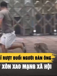 Khỉ rượt đuổi người đàn ông ở TP.HCM gây xôn xao mạng xã hội