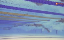 Highlight bơi lội ngày 14.12: HCV của 'hoàng tử ếch' Phạm Thanh Bảo