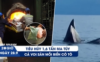 Xem nhanh 20h ngày 28.9: Choáng với cảnh tiêu hủy 1,6 tấn ma tuý | Cận cảnh cá voi săn mồi biển Cô Tô